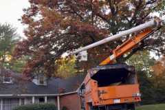 JC-Roofing-Contracting-LLC-5404353853-Harrisonburg-VA-Roofing-Services-Shingle-Roofing-Metal-Roofing-Tree-Services-8